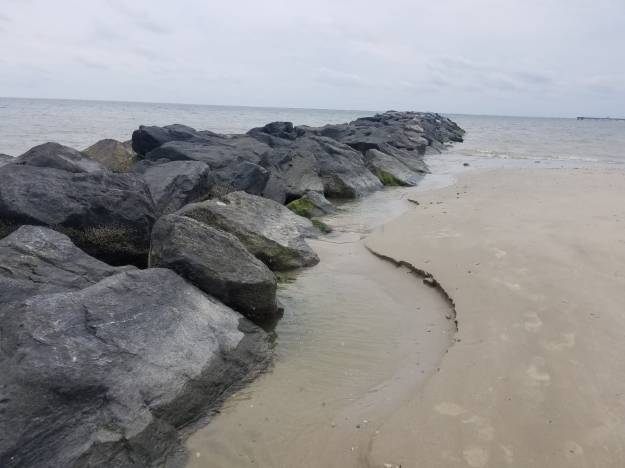 WhatsApp Image 2019-05-12 at 1.40.33 PM